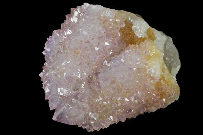 Cactus Quartz (Amethyst) Crystal Cluster - South Africa #132466